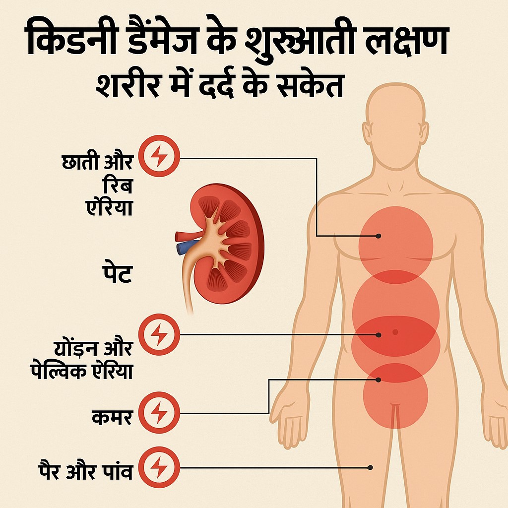 "किडनी डैमेज के शुरुआती लक्षण और शरीर में दर्द के संकेत"